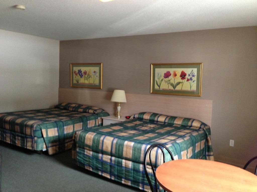 Settler'S Inn & Motel Plaster Rock Buitenkant foto